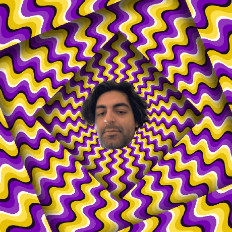 https://static.github-zh.com/github_avatars/SinaKhalili?size=40