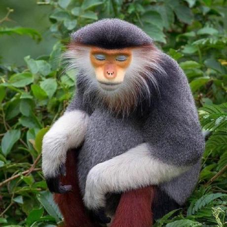 https://static.github-zh.com/github_avatars/casedami?size=40