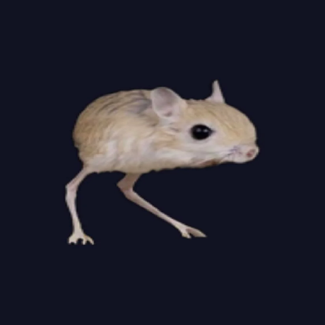 https://static.github-zh.com/github_avatars/fionafibration?size=40