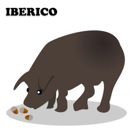 https://static.github-zh.com/github_avatars/iberianpig?size=40