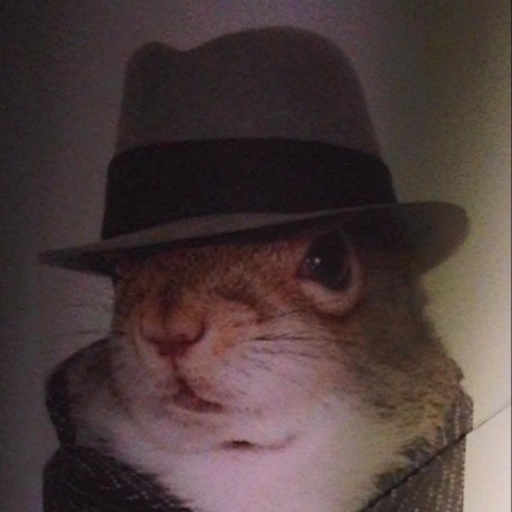 https://static.github-zh.com/github_avatars/secretsquirrel?size=40