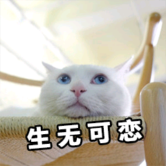 泺影