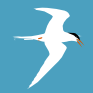 Tern